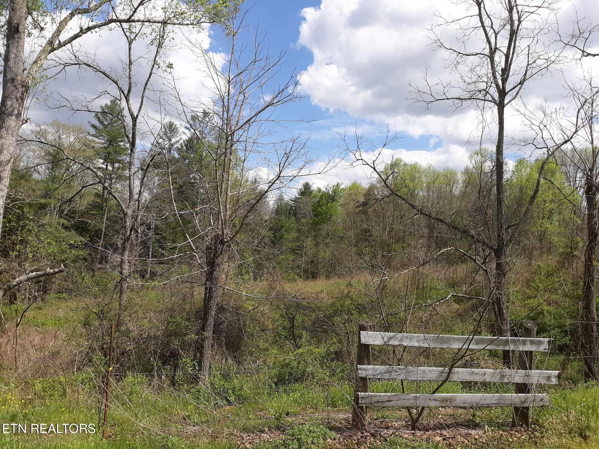 5054 Mt Helen Road Allardt, TN 38504 - Photo 18 of 34 a view of outdoor space and yard