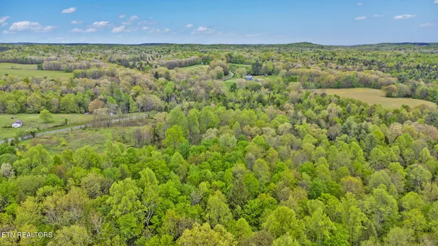a view of a lush green field
