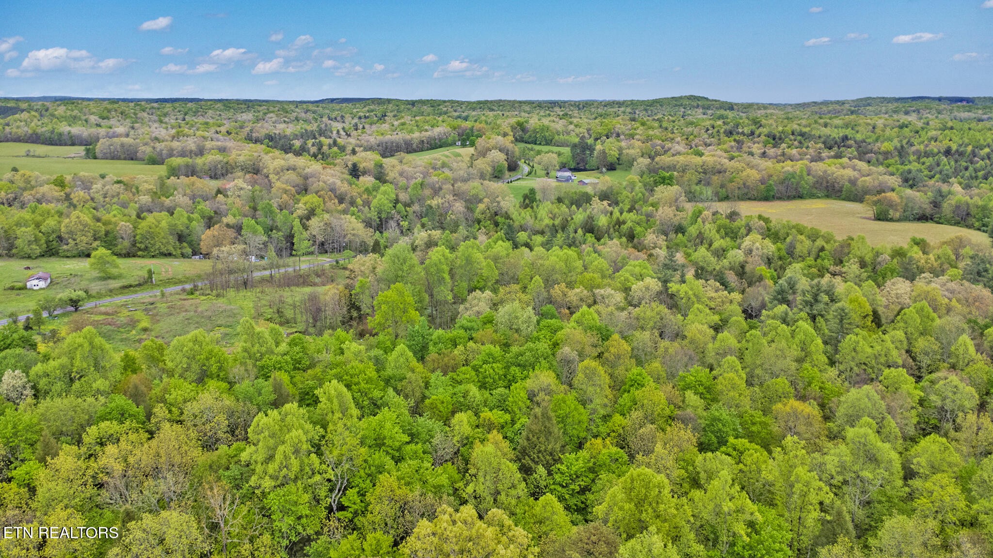 5054 Mt Helen Road Allardt, TN 38504 - Photo 25 of 34 a view of a yard