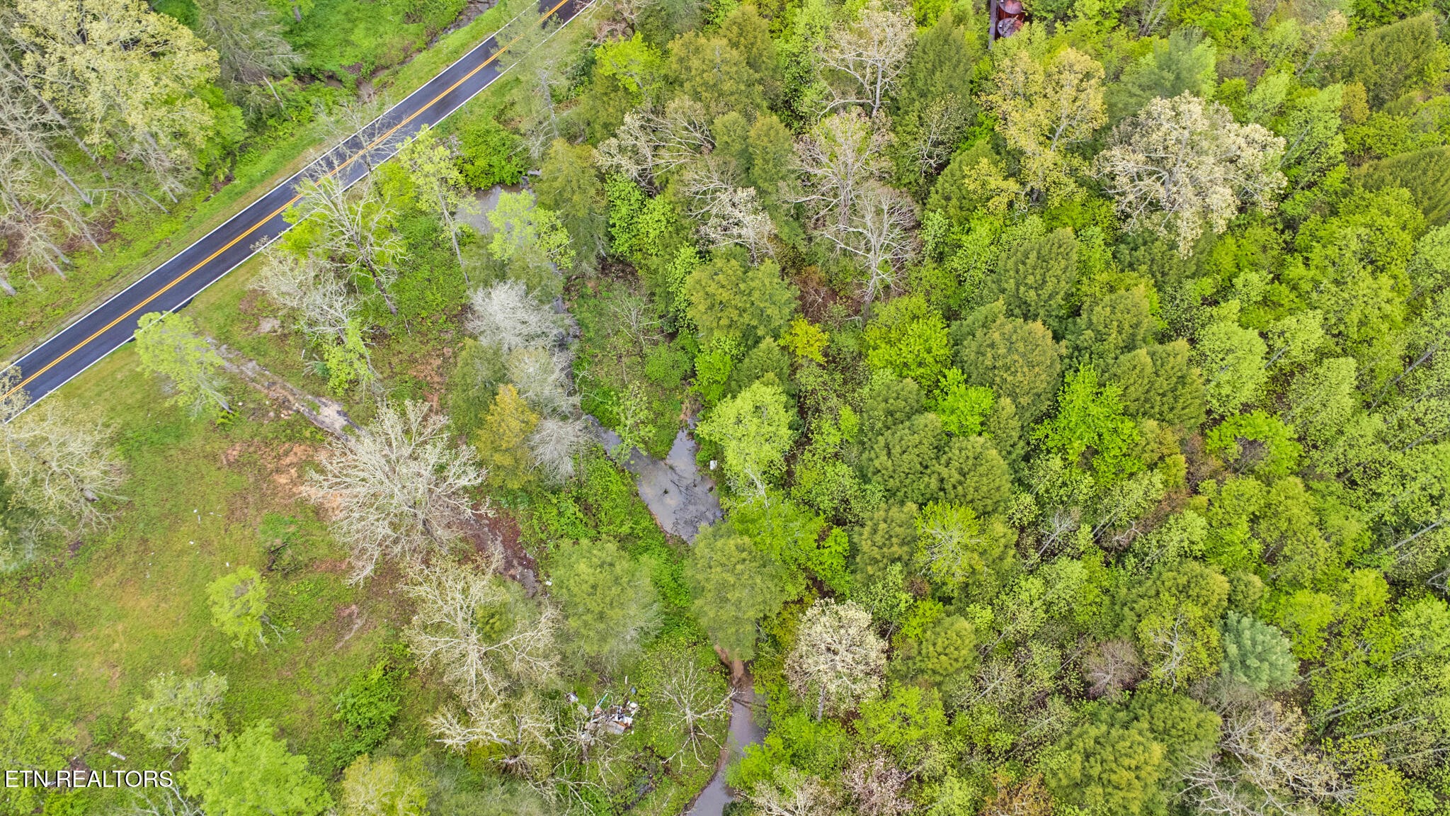 5054 Mt Helen Road Allardt, TN 38504 - Photo 28 of 34 a view of a lush green forest with a bench and trees