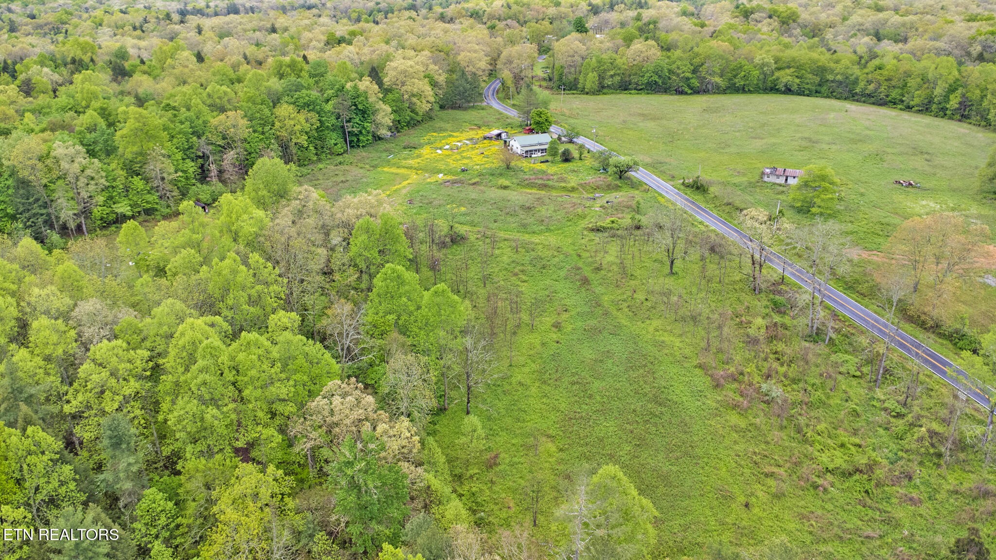 5054 Mt Helen Road Allardt, TN 38504 - Photo 31 of 34 a view of a green field with plants