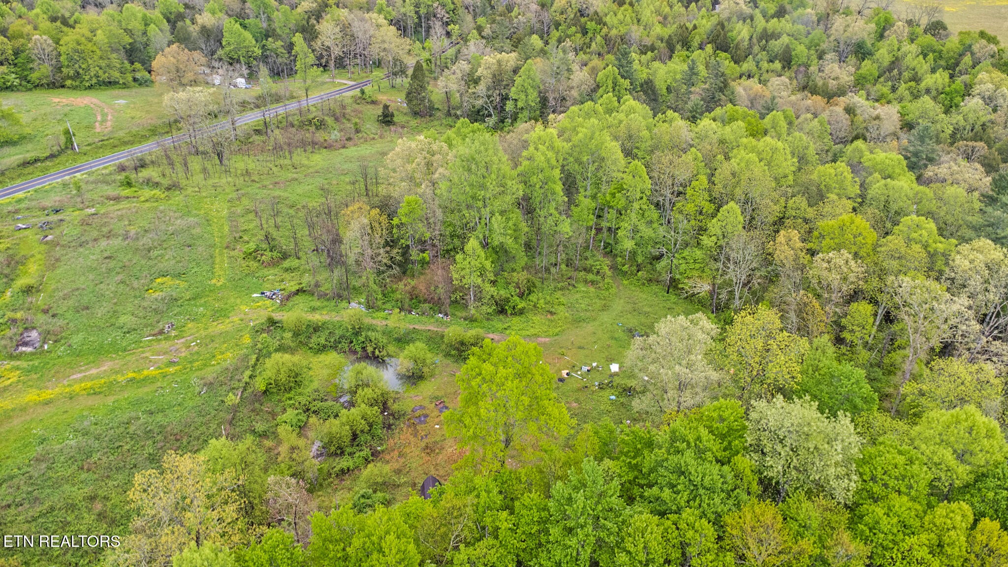 5054 Mt Helen Road Allardt, TN 38504 - Photo 4 of 34