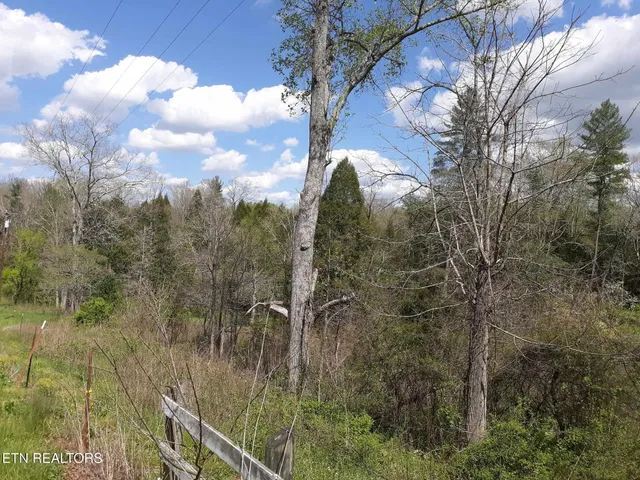 a view of a lake with green space