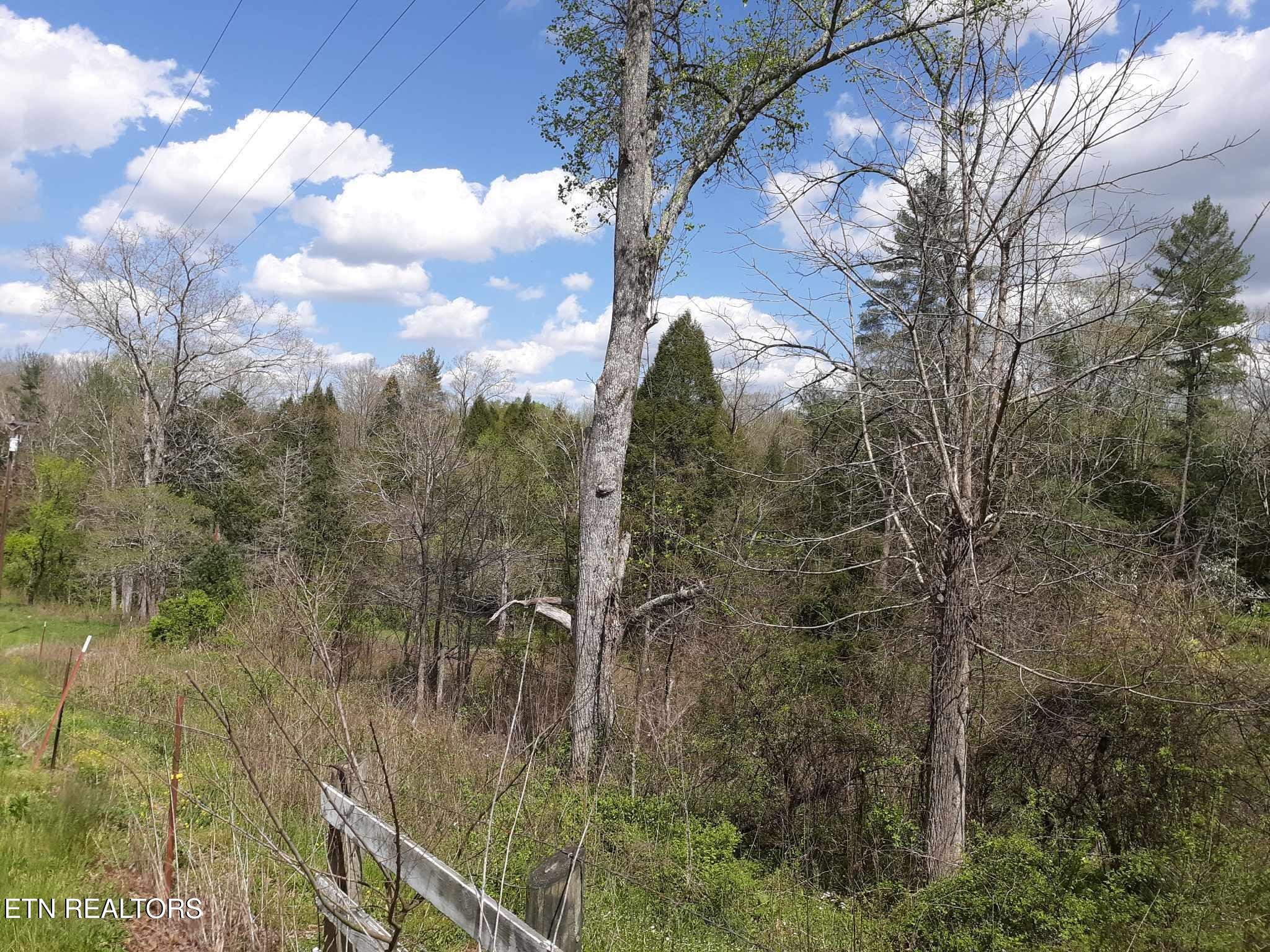 5054 Mt Helen Road Allardt, TN 38504 - Photo 6 of 34 a view of a yard