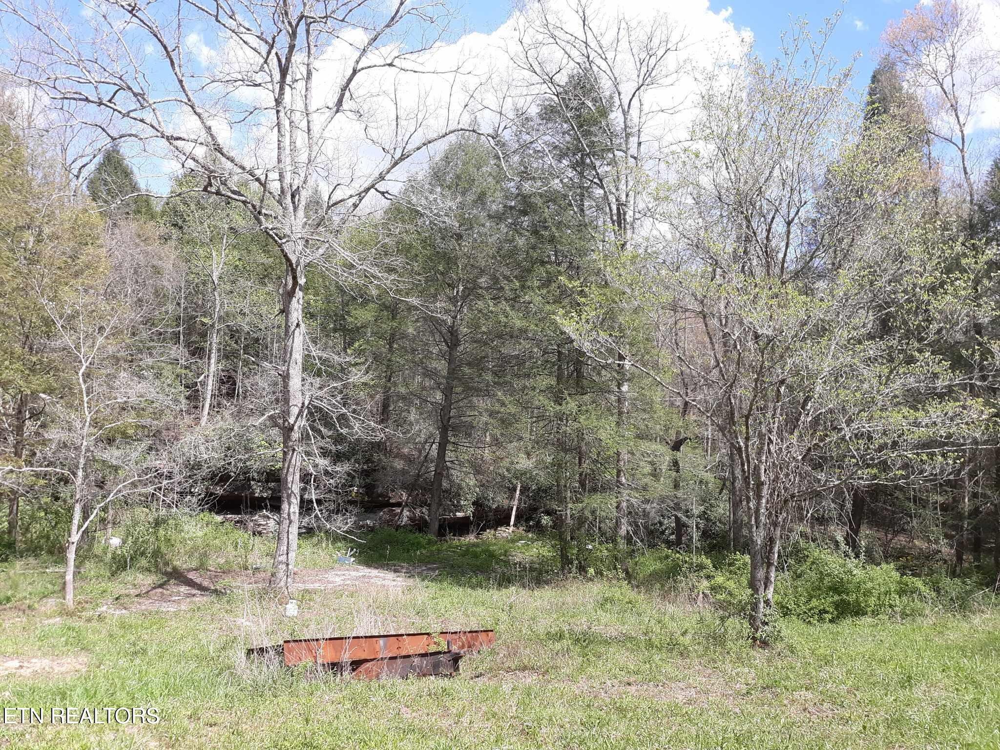 5054 Mt Helen Road Allardt, TN 38504 - Photo 10 of 34 a view of a backyard