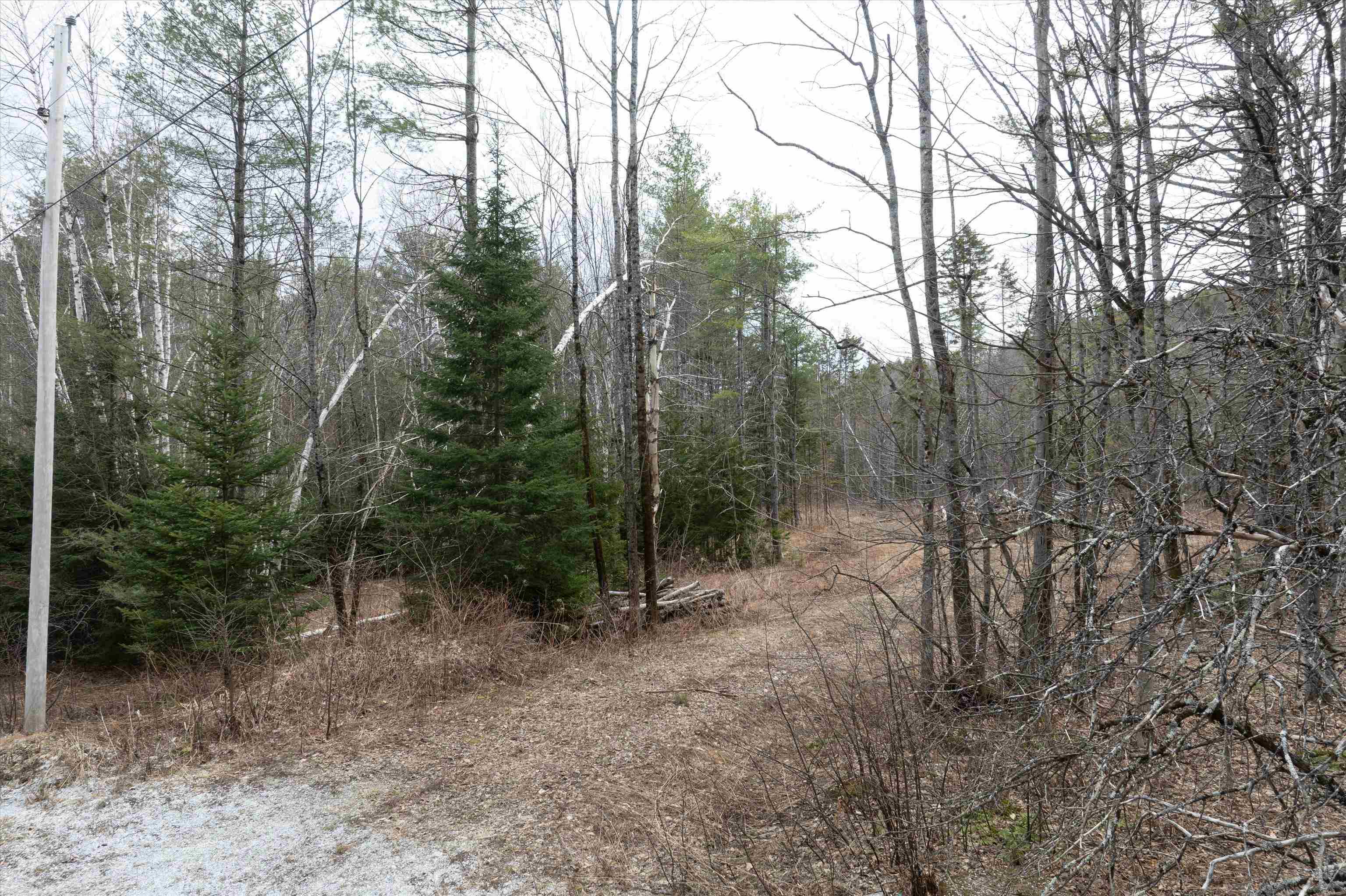 Dix Hill Road, Unit 6 Ludlow, VT 05149 - Photo 13 of 17 Gallery Image 13