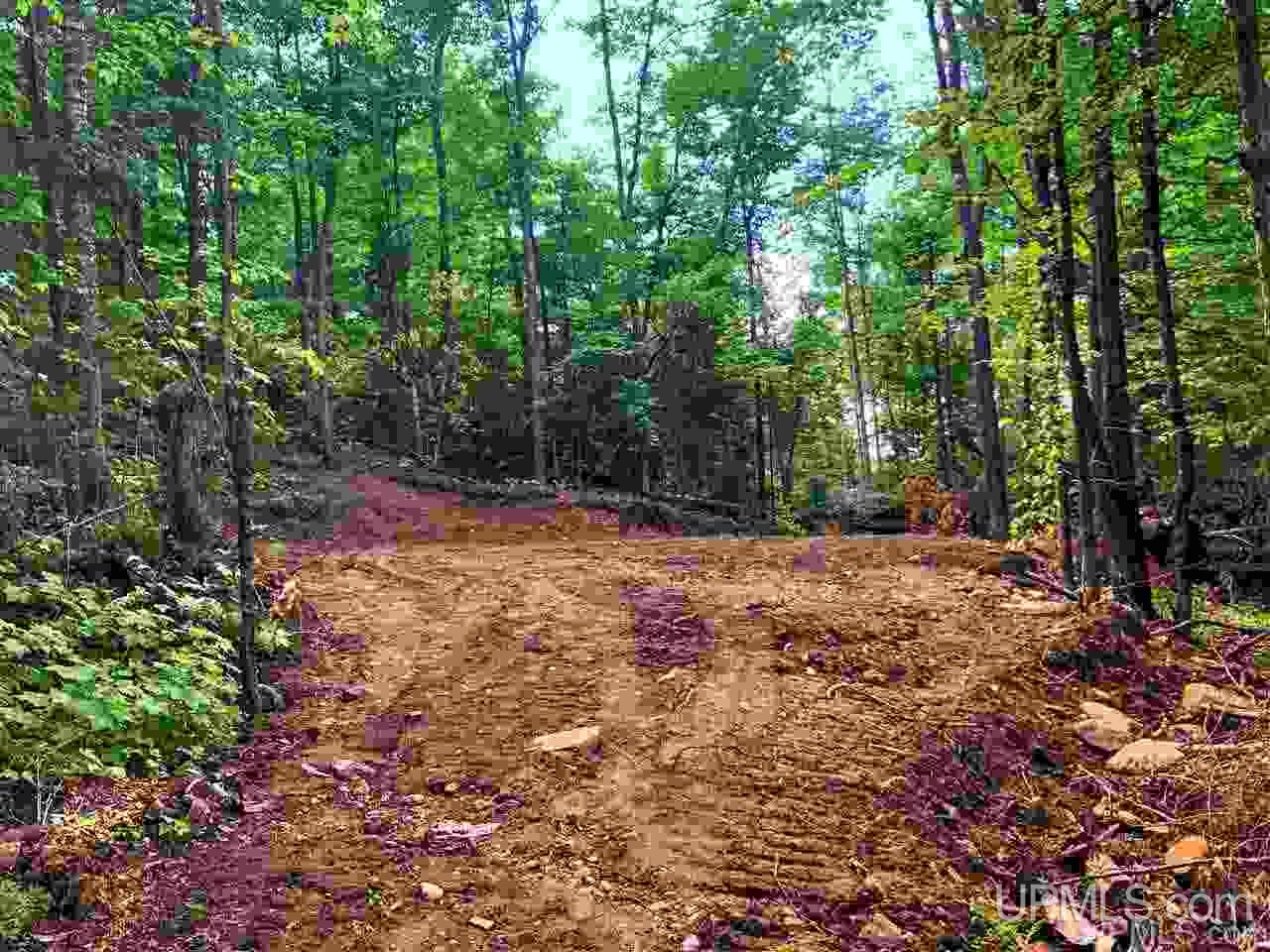Tbd Deer Lake Road Ishpeming, MI 49849 - Photo 42 of 47