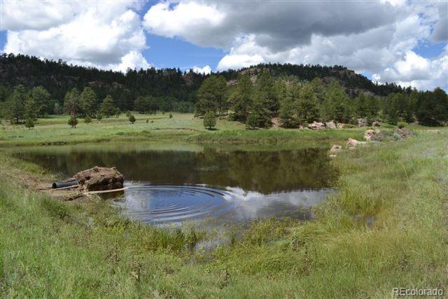 0 County 111 Road Florissant, CO 80816 - Photo 1 of 35