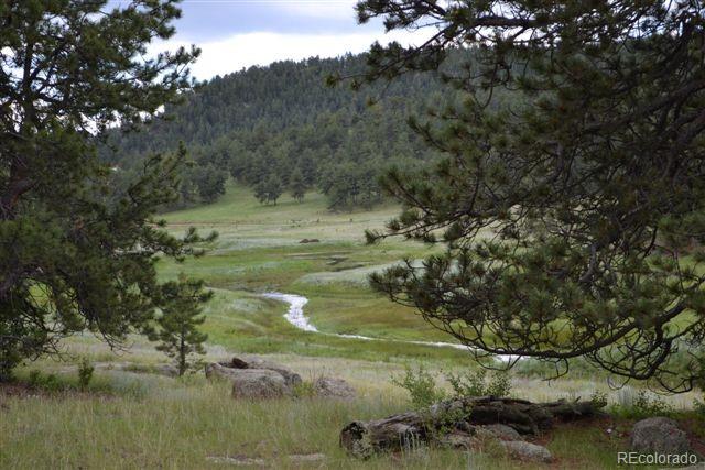 0 County 111 Road Florissant, CO 80816 - Photo 12 of 35