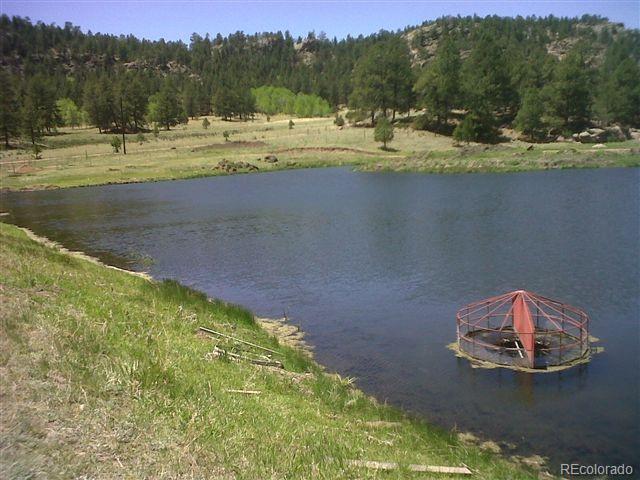 0 County 111 Road Florissant, CO 80816 - Photo 14 of 35