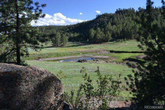 0 County 111 Road Florissant, CO 80816 - Photo 16 of 35