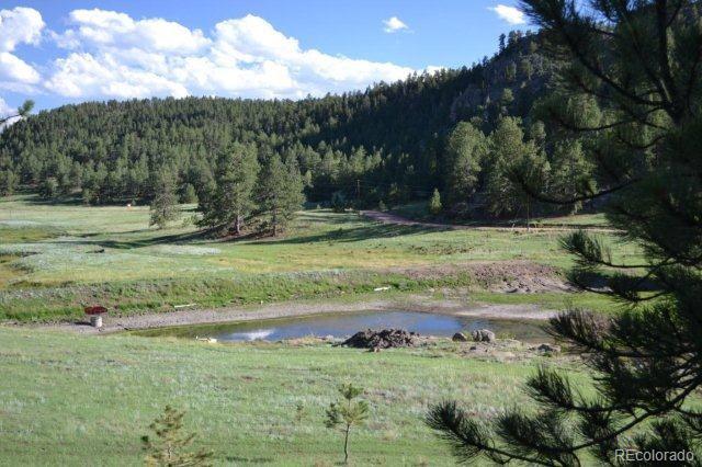 0 County 111 Road Florissant, CO 80816 - Photo 17 of 35