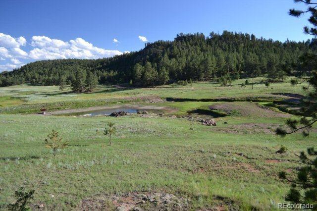0 County 111 Road Florissant, CO 80816 - Photo 18 of 35