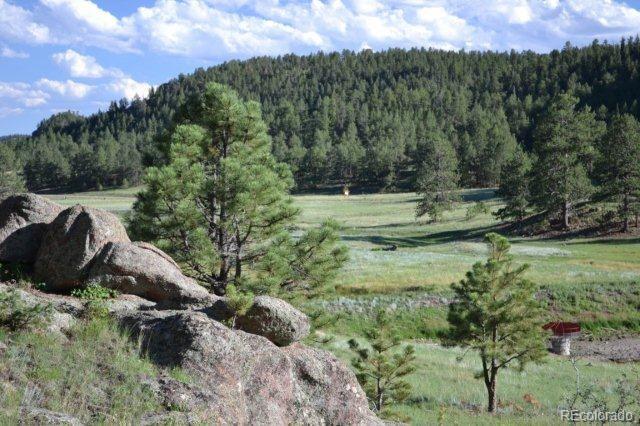 0 County 111 Road Florissant, CO 80816 - Photo 19 of 35