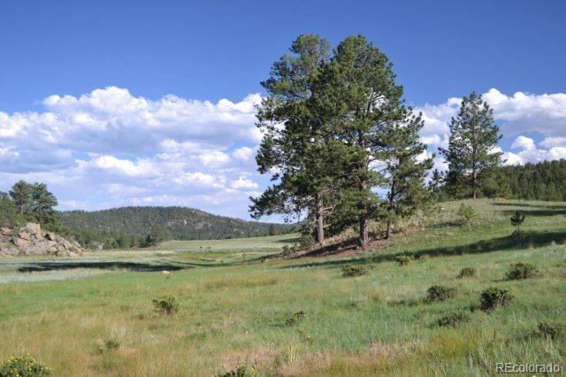 0 County 111 Road Florissant, CO 80816 - Photo 20 of 35