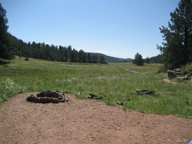 0 County 111 Road Florissant, CO 80816 - Photo 21 of 35