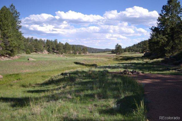 0 County 111 Road Florissant, CO 80816 - Photo 22 of 35
