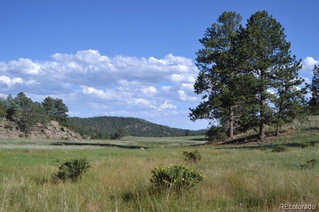0 County 111 Road Florissant, CO 80816 - Photo 23 of 35