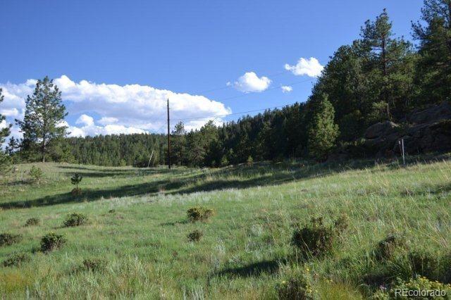 0 County 111 Road Florissant, CO 80816 - Photo 25 of 35
