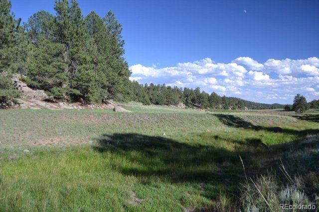 0 County 111 Road Florissant, CO 80816 - Photo 26 of 35