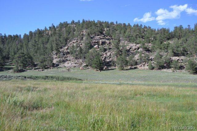 0 County 111 Road Florissant, CO 80816 - Photo 27 of 35