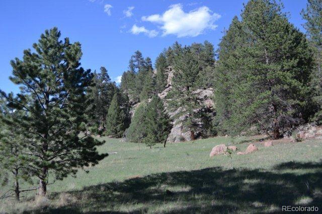 0 County 111 Road Florissant, CO 80816 - Photo 29 of 35