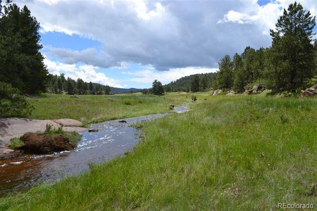 0 County 111 Road Florissant, CO 80816 - Photo 3 of 35