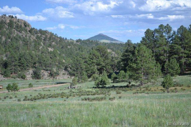 0 County 111 Road Florissant, CO 80816 - Photo 35 of 35
