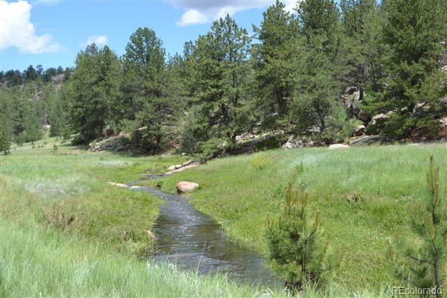 0 County 111 Road Florissant, CO 80816 - Photo 4 of 35