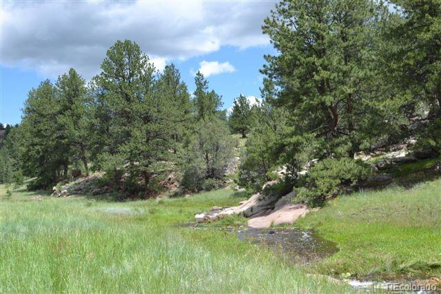 0 County 111 Road Florissant, CO 80816 - Photo 5 of 35