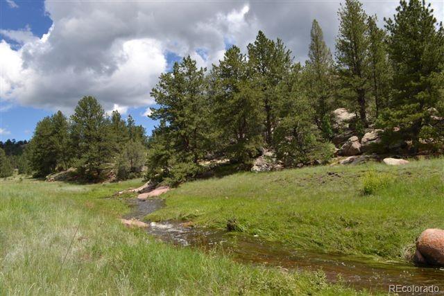 0 County 111 Road Florissant, CO 80816 - Photo 6 of 35