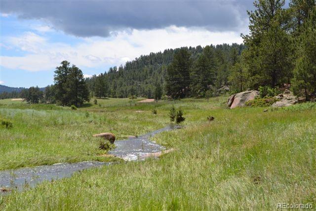 0 County 111 Road Florissant, CO 80816 - Photo 7 of 35