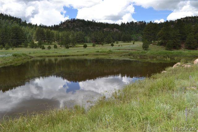 0 County 111 Road Florissant, CO 80816 - Photo 8 of 35