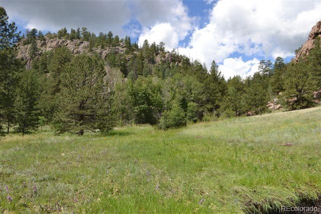 0 County 111 Road Florissant, CO 80816 - Photo 9 of 35