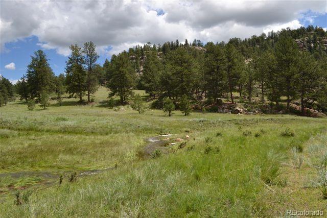 0 County 111 Road Florissant, CO 80816 - Photo 10 of 35