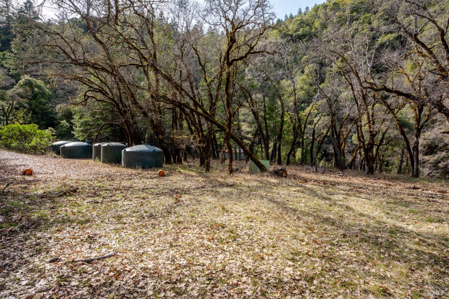 4450 Woodman Creek Road Laytonville, CA 95454 - Photo 17 of 23