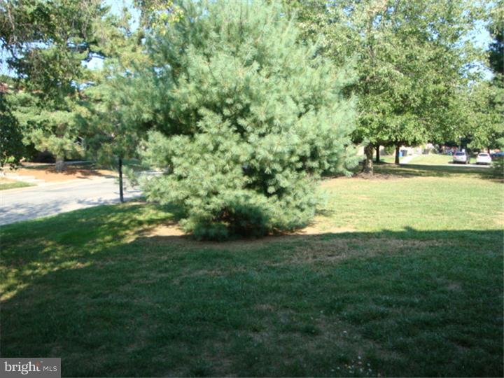 87 Eaves Mill Road Medford, NJ 08055 - Photo 18 of 19 View in Back
