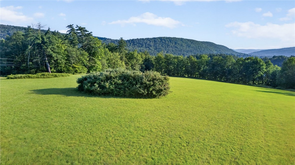 L1 Grange Hall Road Oneonta, NY 13820 - Photo 45 of 50