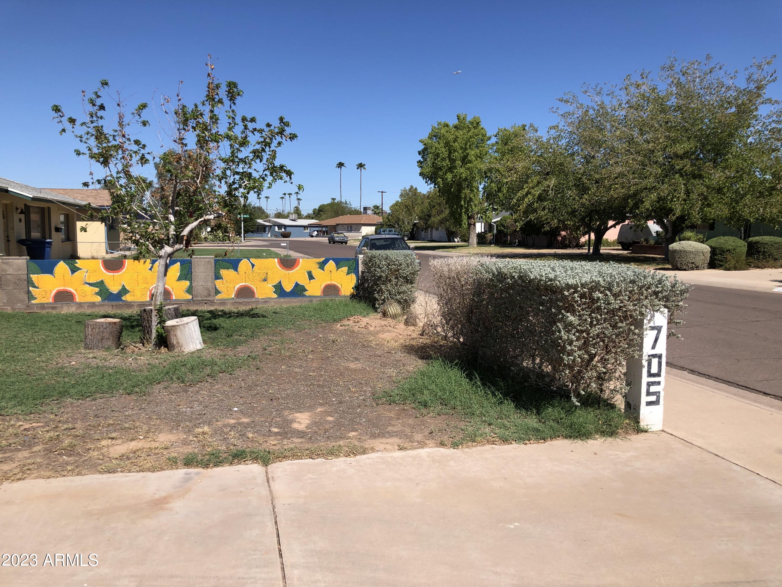 705 West 16th Street Tempe, AZ 85281 - Photo 3 of 24 a view of a park with large trees