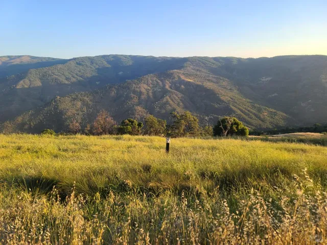 a view of a yard with an ocean