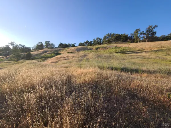 a view of a lake with a yard