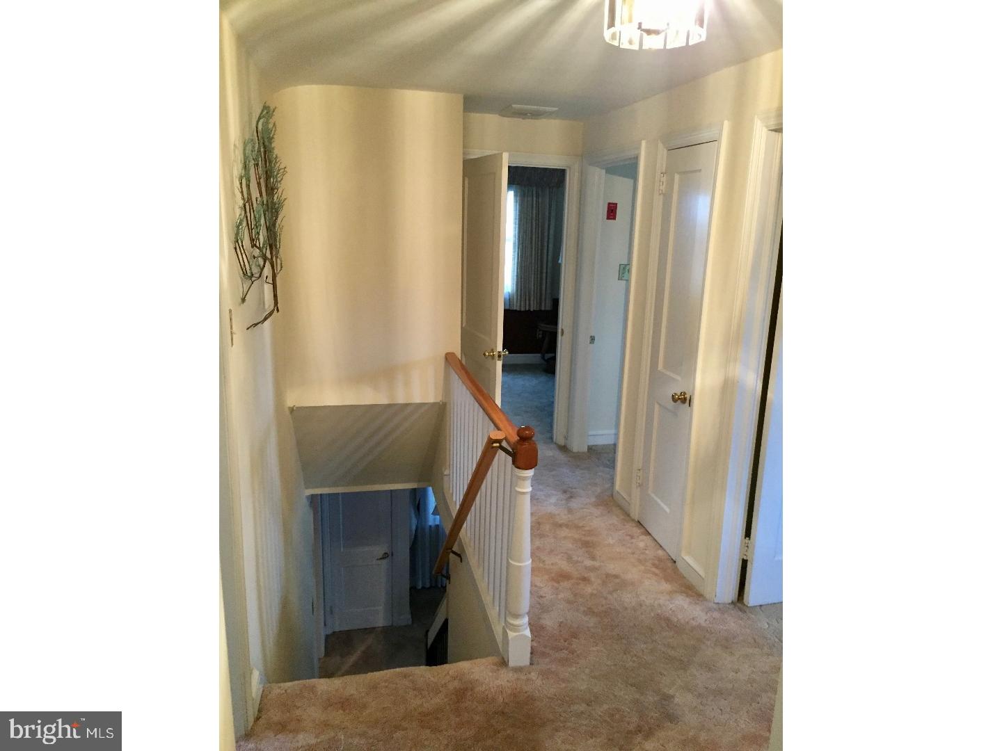 34 Barbara Drive Springfield, PA 19064 - Photo 7 of 17 Hallway