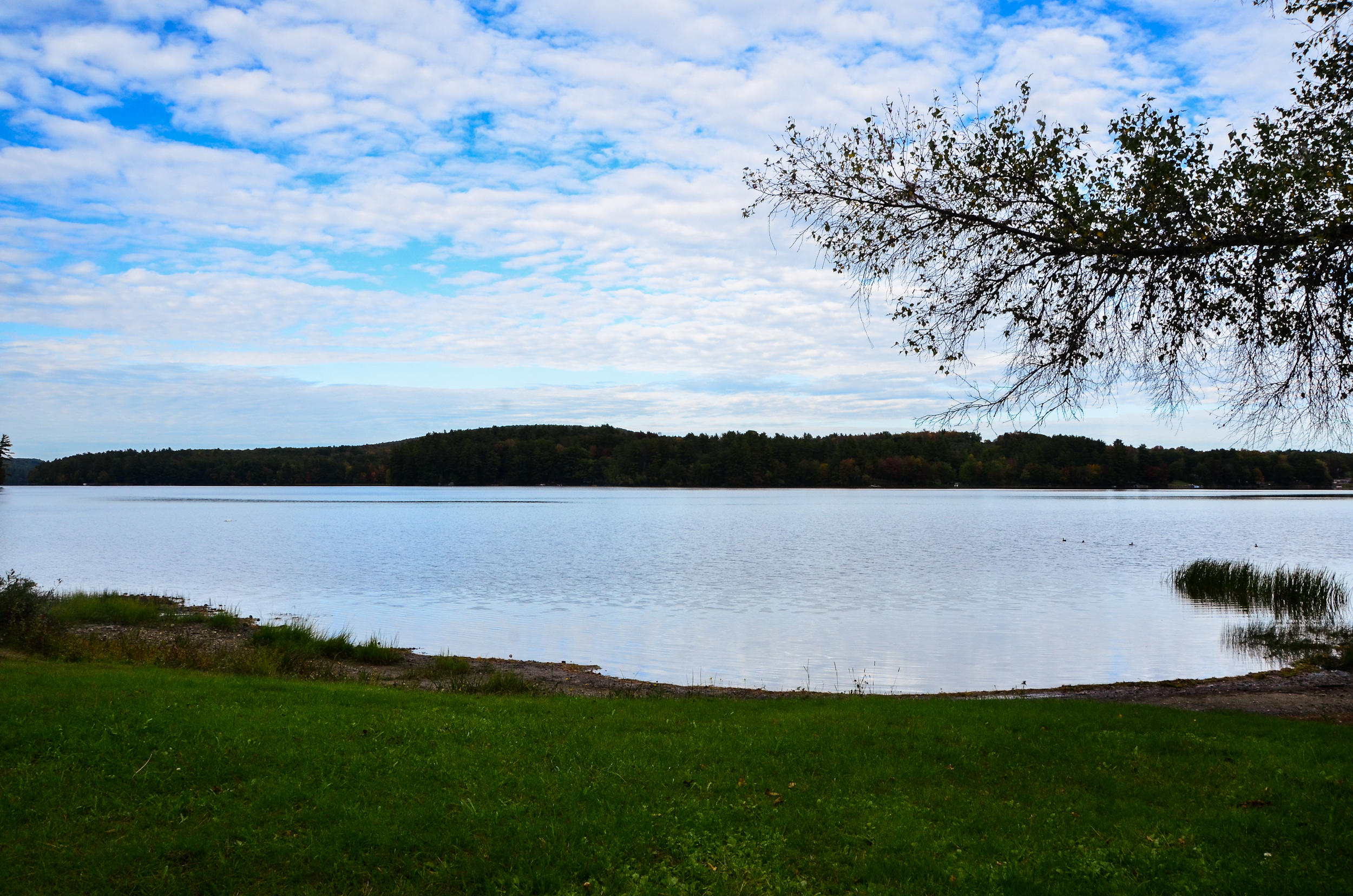 450 Wilson Pond Road North Monmouth, ME 04265 - Photo 100 of 105 0103-KRPhoto2019-DSC_0599