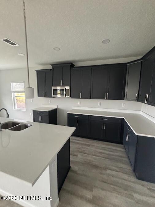 8627 Crystalline Lane Jacksonville, FL 32221 - Photo 8 of 19 kitchen. boulder blue cabinets