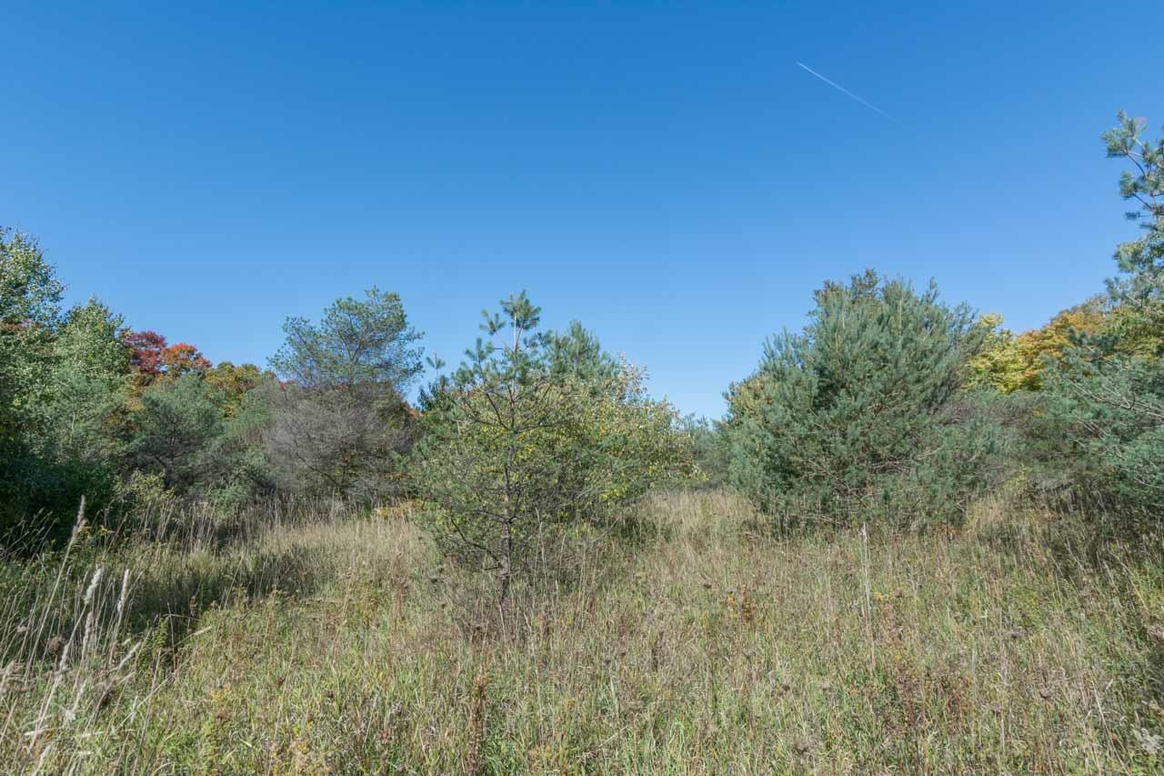 0 South Fritz Road Maple City, MI 49664 - Photo 11 of 16