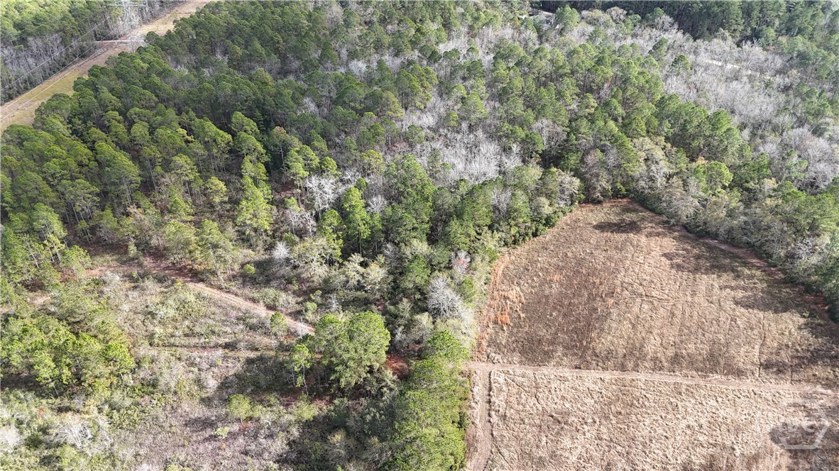 0 Mt Hope Road, Unit LOT 5A Guyton, GA 31312 - Photo 1 of 2