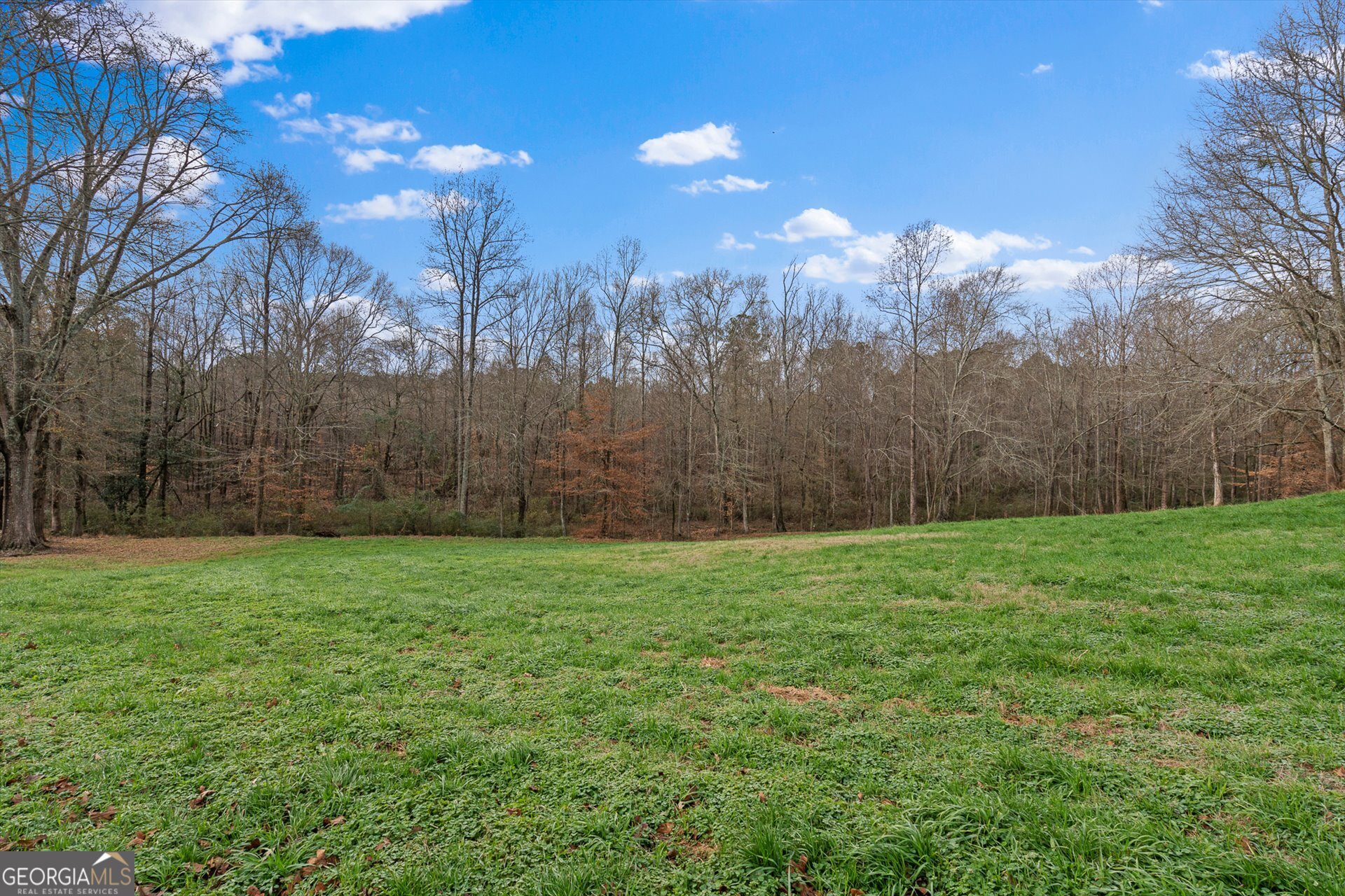 976 Salem Church Road Carrollton, GA 30117 - Photo 59 of 79