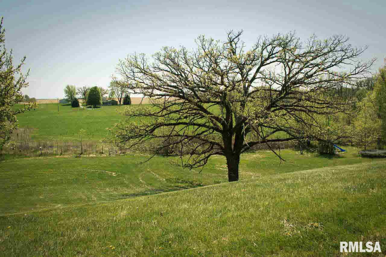 27019 Ebenezer Road Geneseo, IL 61254 - Photo 7 of 24