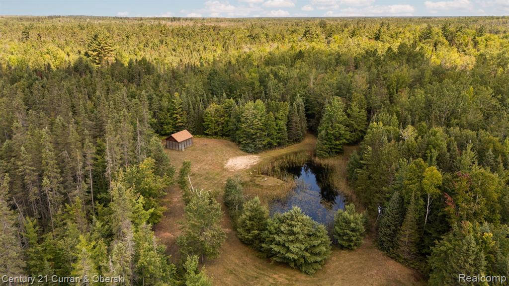 3265 Roost Road Onaway, MI 49765 - Photo 42 of 51