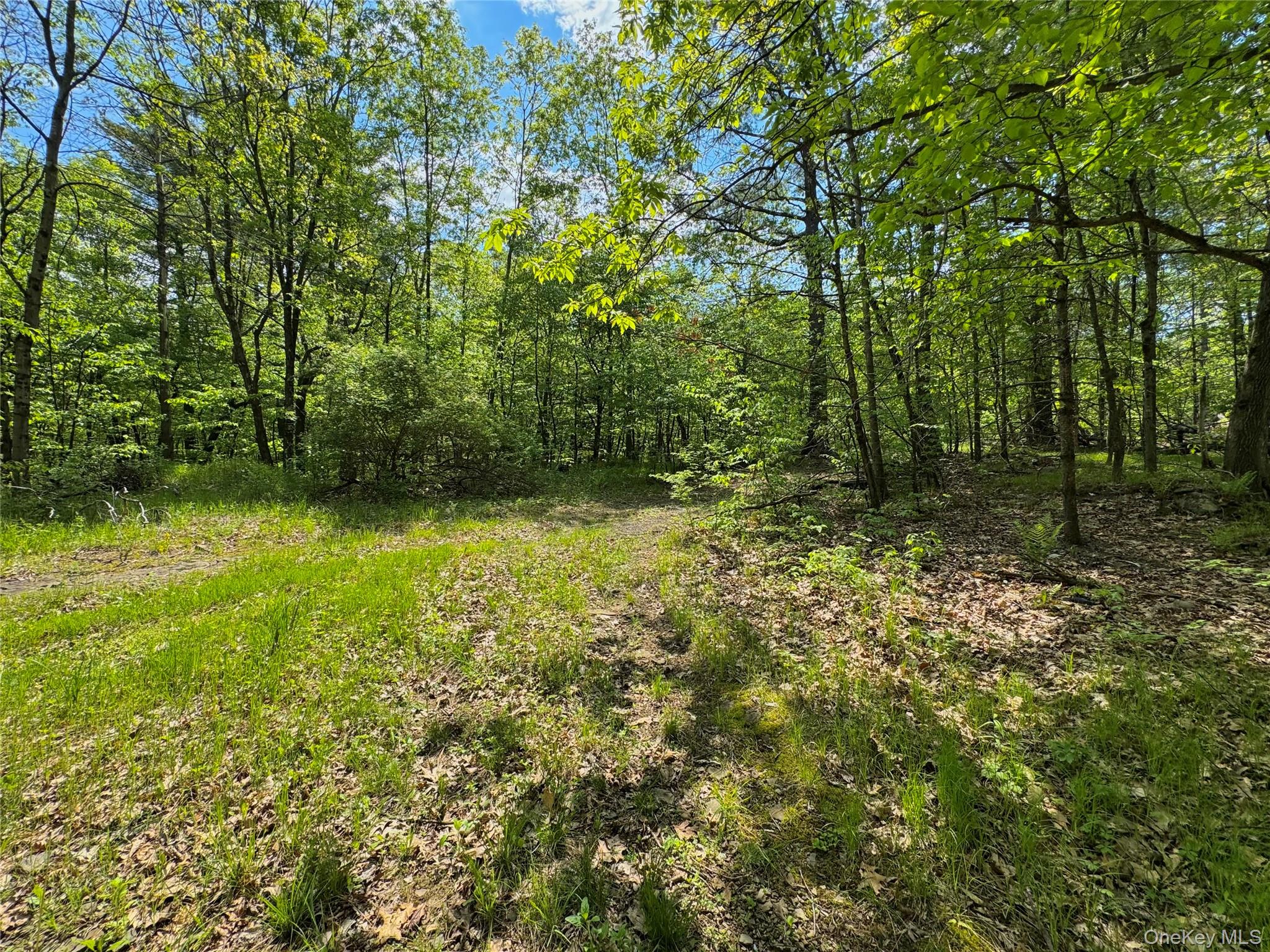 Tbd Bill Matter Road Climax, NY 12042 - Photo 9 of 19 a view of outdoor space and yard